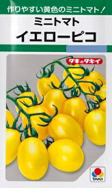 【ミニトマト】イエローピコ【タキイ種苗】（27粒）野菜種[春まき]GF