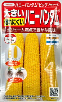 【スイートコーン】ハニーバンタム【サカタ一代交配】
