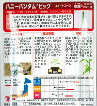 袋裏
