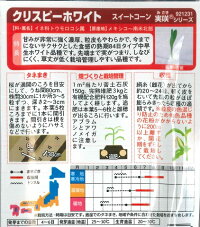 袋裏