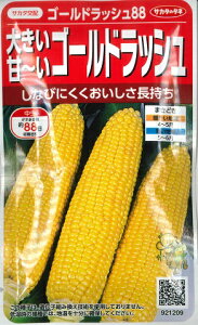 �y�傫���Á`���z�S�[���h���b�V��88�y�T�J�^��z�z�i23ml�j��؎�/�Ƃ����낱���̎�[�t�܂�]921209