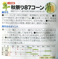 袋裏→クリックして拡大