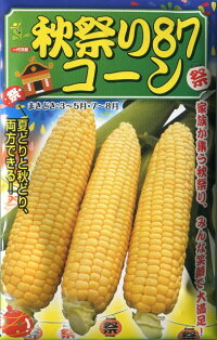 秋祭り87コーン