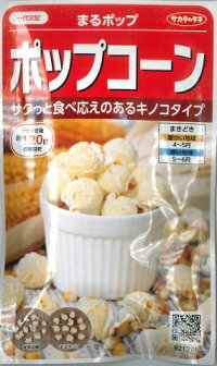 ポップコーンの種【まるポップ】サカタのタネ