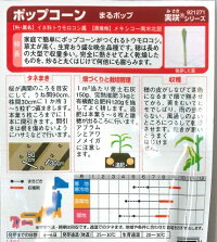 ポップコーンの種【まるポップ】サカタのタネ袋裏