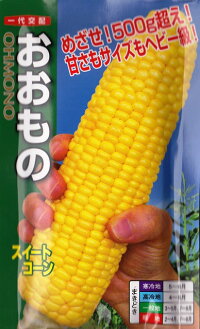 【スイートコーン】おおもの【ナント種苗】