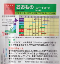 袋裏→クリックして拡大