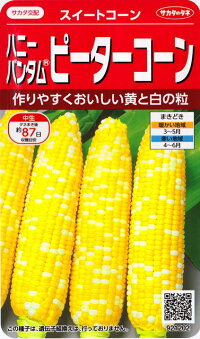 ピーターコーン(スイートコーンの種)