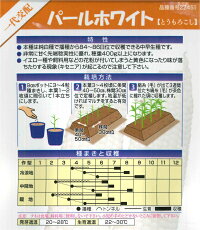 袋裏→クリックして拡大