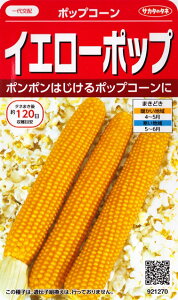 �y�|�b�v�R�[���̎�z�C�G���[�|�b�v�y�T�J�^�̃^�l�z�i20ml�j��؎�/�Ƃ����낱���̎�[�t�܂�]921270