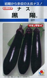 【ナス】黒陽【タキイ交配】（60粒）野菜種[春まき]DF