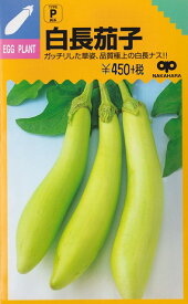 【ナス】白長茄子【中原採種場】（約60粒）野菜種[春まき]