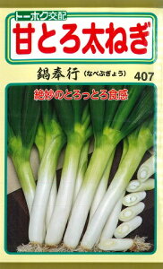 yÂƂ둾˂zsyg[zNzi2mlj؎[tH܂][N]