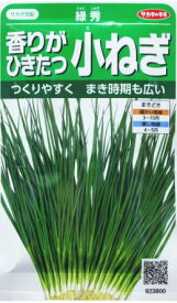 【香りがひきたつ小ねぎ】緑秀【サカタ交配】（15ml）野菜種[春まき][秋まき]923800