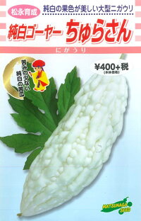 純白ゴーヤーちゅらさん松永種苗