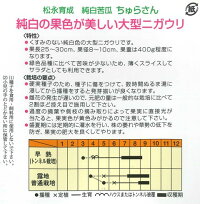 【白ゴーヤ】袋裏→クリックして拡大