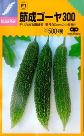 【ニガウリ】節成ゴーヤ300【中原採種場F1】（7粒）野菜種[春まき]