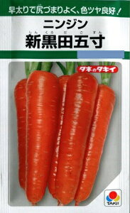 yjWzVcܐy^LCczi9mlj؎[t܂][Ă܂]GF