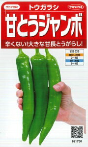 ygEKVzÂƂW{@yTJ^zzi0.5mlj؎/Ƃ炵/TJ^̃^l[t܂]@921750