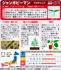 袋裏→クリックして拡大