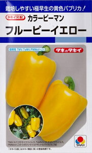 yJ[s[}zt[s[CG[y^LCzzi27j؎/^LCc[t܂]DF