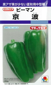 ys[}zgi傤Ȃ݁jy^LCczi45j؎/^LCz[t܂]DF