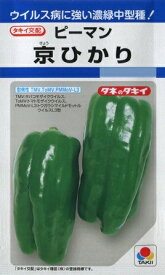 【ピーマン】京ひかり【タキイ種苗】（30粒）野菜種/タキイ交配[春まき]DF