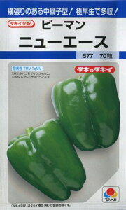 ys[}zj[G[Xy^LCczi60j؎/^LCz[t܂]DF