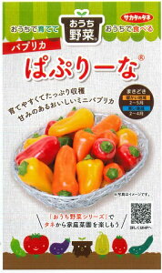 ypvJzςՂ[ȁyTJ^zz(12)؎/TJ^̃^l[t܂]921506