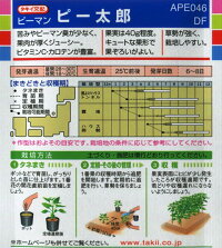 袋裏→クリックして拡大