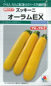 yYbL[jzI[EXy^LCczi10j؎[t܂]