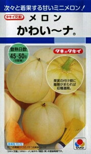 �y�~�j�������z���킢�`�i�y�^�L�C��z�z�i8���j��؎�[�t�܂�]DF