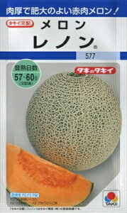 �y�������z���m���y�^�L�C��z�z�i6���j��؎�[�t�܂�]DF