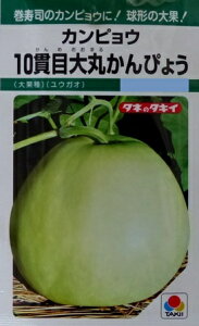 yJsEz10іڑۂ҂傤iʎ/EKIjy^LCczi22j؎[t܂]GF