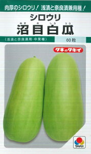 yVEzڔZy^LCczi60j؎[t܂]GF