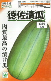 【漬けウリ】徳佐漬瓜【山陽育成】（30粒）野菜種/山陽種苗[春まき]