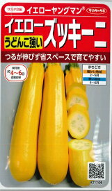 【うどんこ病に強いイエローズッキーニ】イエローヤングマン(4ml)野菜種/サカタのタネ