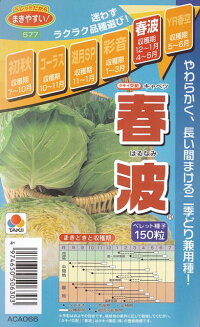 春波(はるなみ)(ペレット種子)タキイ種苗
