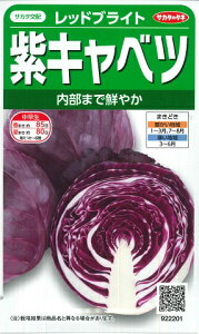 yLxczbhuCgyTJ^zzi0.8mlj؎[t܂][H܂]922200yRCPz