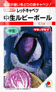 ybhLxczr[{[y^LCzzi0.6mlj؎/ԃLxc[H܂]RF