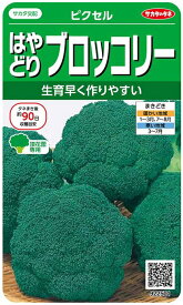 【はやどりブロッコリー】ピクセル【サカタのタネ】（100粒）野菜種[春まき][夏まき]922501