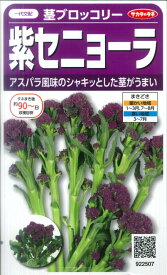 【茎ブロッコリー】紫セニョーラ【サカタのタネ】（20粒）野菜種[春まき][秋まき]922507