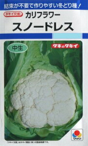 yJt[zXm[hXy^LCczi1.2mlj؎[H܂]DF