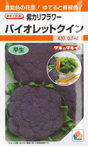 yJt[zoCIbgNC y^LCczi0.6mlj؎[H܂]RF