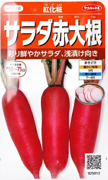 楽天市場 サラダ赤大根 紅化粧 サカタの交配 3ml 野菜種 サカタのタネ 秋まき Hana Uta 米沢園芸 楽天市場店