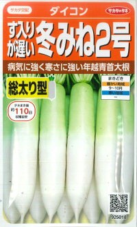冬みね2号