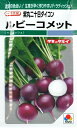 【紫丸ハツカダイコン】ルビーコメット【タキイ種苗】（310粒）野菜種/二十日ダイコン[春まき][秋まき]GF
