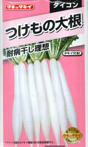 y̑卪zϕazy^LCzzij[bNji9ml/250j[H܂]؎