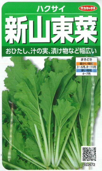 楽天市場 ハクサイ 春まき新山東菜 サカタのタネ 10ml 白菜 サントウサイ 野菜種 春まき 秋まき Hana Uta 米沢園芸 楽天市場店 楽天市場 ハクサイ 春まき新山東菜 サカタのタネ 10ml 白菜 サントウサイ 野菜種 春まき 秋まき Hana Uta 米沢園芸 楽天市場店