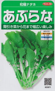 yai^lzԂ yTJ^zzi10mlj؎[H܂]